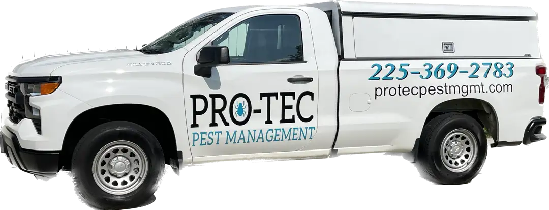 pro tec pest control truck drivers side iso