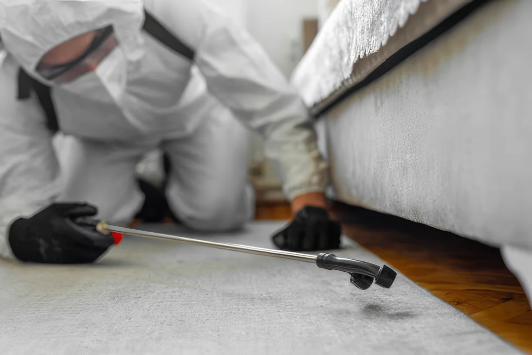 pest control technician in white protective suit and gloves treats area beneath bed with precision spray equipment as part of preventative pest management services in brandon ms