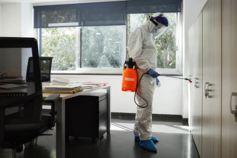 Why Choose Professional Pest Control Over DIY Methods