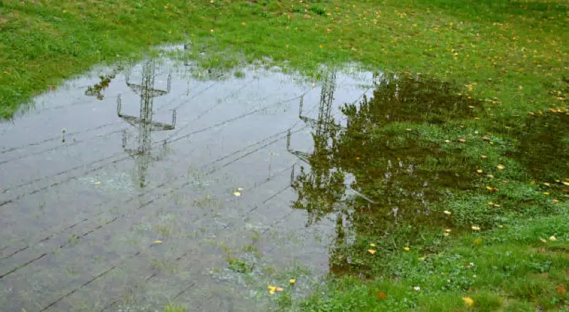 puddles of standing water are breeding grounds for mosquitos