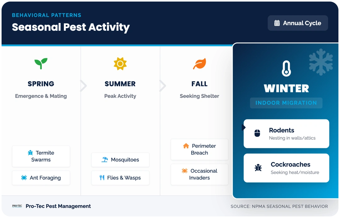 seasonal pest activity winter timeline