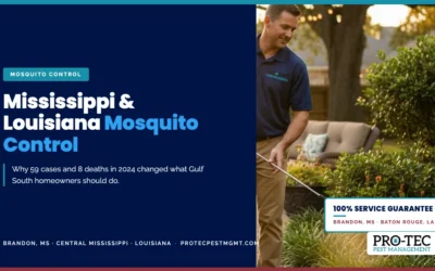 Mississippi & Louisiana Mosquito Control: A Homeowner’s Guide