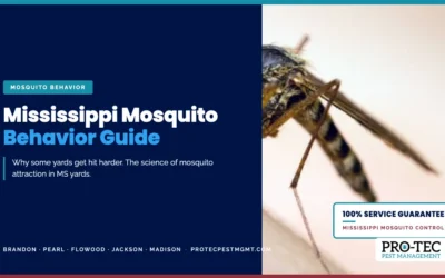 What Mississippi Homeowners Should Know About Mosquito Behavior