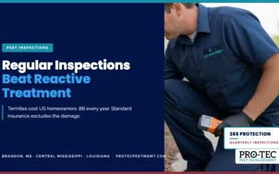Why Regular Pest Inspections Matter More Than Reactive Treatment
