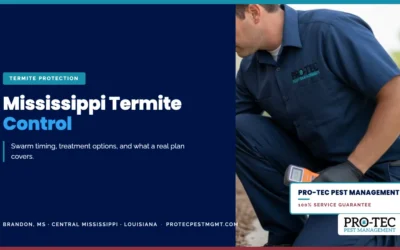 Why Mississippi Homeowners Need a Termite Plan