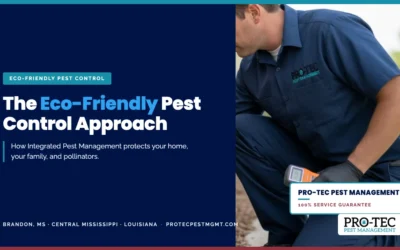 The Eco-Friendly Pest Control Approach