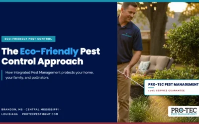 The Eco-Friendly Pest Control Approach