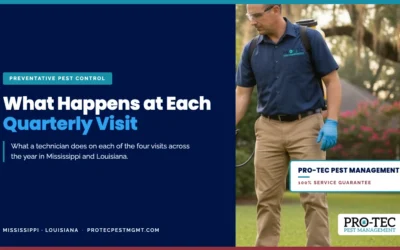 What Happens at Each Quarterly Pest Control Visit