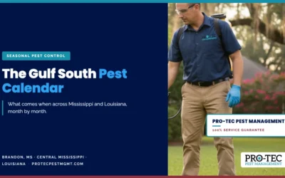 Year-Round Seasonal Pest Calendar for Mississippi and Louisiana