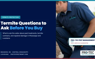 Termite Questions to Ask When Buying a Home in MS and LA