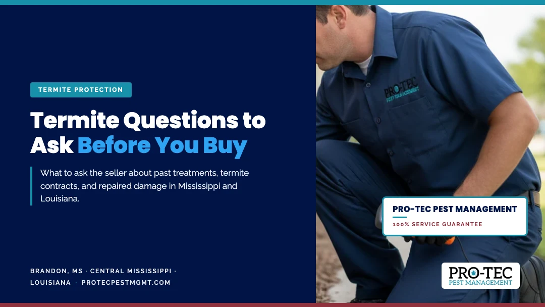Termite Questions to Ask When Buying a Home in MS and LA